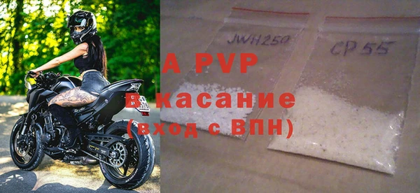 стаф Абаза