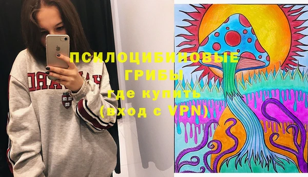 стаф Абаза