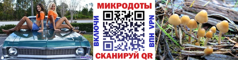 где купить наркотик  Морозовск  кракен сайт  Псилоцибиновые грибы GOLDEN TEACHER 