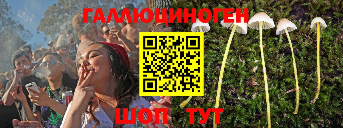 Галлюциногенные грибы прущие грибы  Вход с VPN  Морозовск 